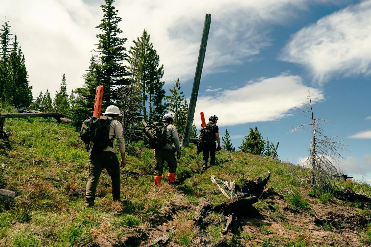 Work Projects — Trans-Cascadia